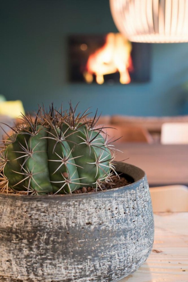 Court Garden Hotel - Ecodesigned image 17