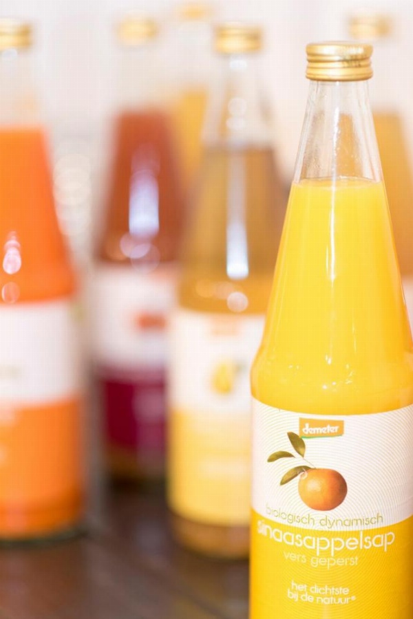 Court Garden Hotel - Ecodesigned image 23